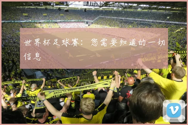 世界杯足球赛：您需要知道的一切信息