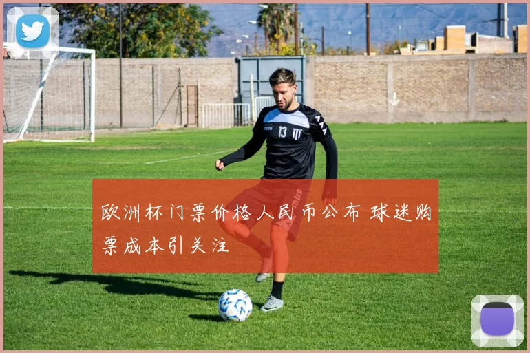 欧洲杯门票价格人民币公布 球迷购票成本引关注