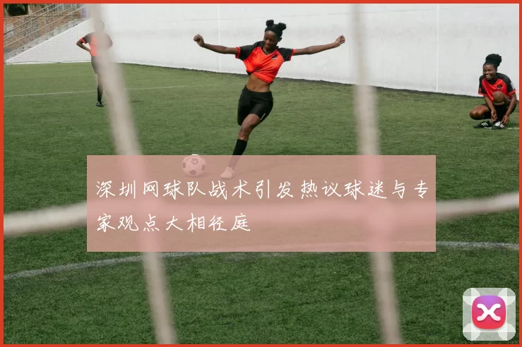 深圳网球队战术引发热议球迷与专家观点大相径庭
