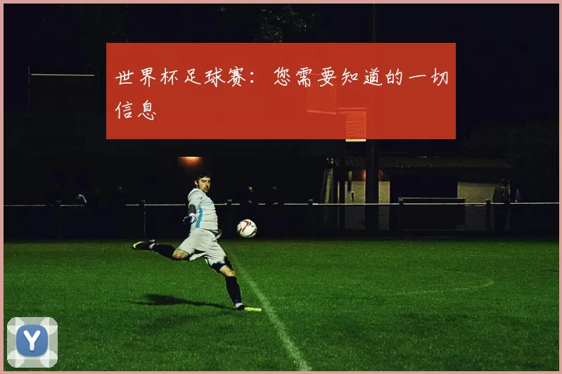 世界杯足球赛：您需要知道的一切信息