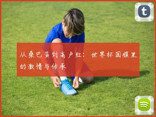 从桑巴黄到高卢红：世界杯国旗里的激情与传承