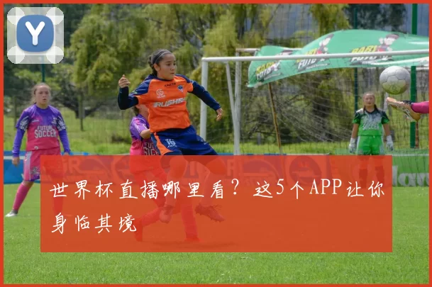 世界杯直播哪里看？这5个APP让你身临其境
