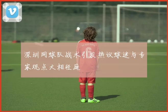 深圳网球队战术引发热议球迷与专家观点大相径庭