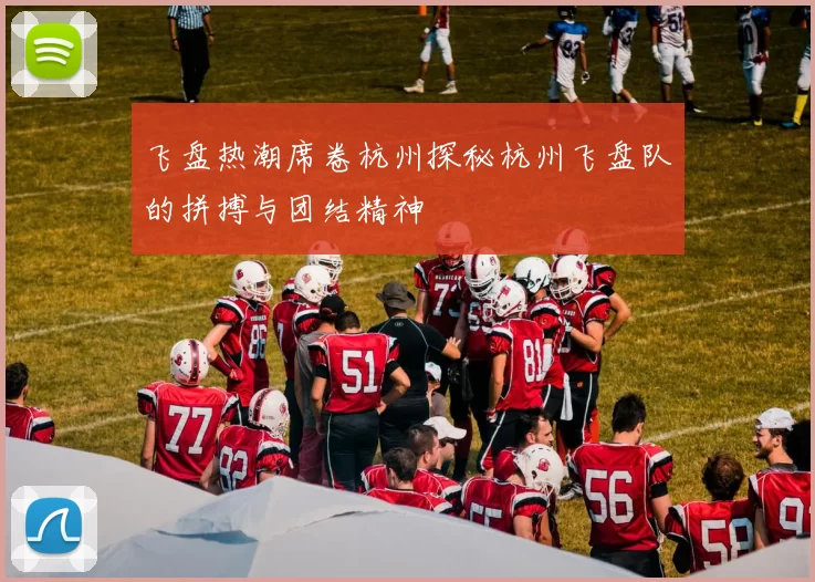 飞盘热潮席卷杭州探秘杭州飞盘队的拼搏与团结精神
