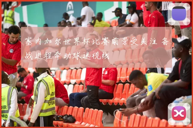 塞内加尔世界杯比赛前景受关注 备战进程牵动球迷视线