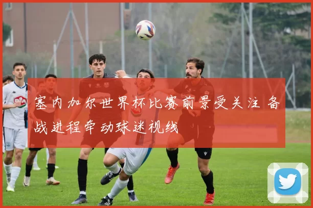 塞内加尔世界杯比赛前景受关注 备战进程牵动球迷视线