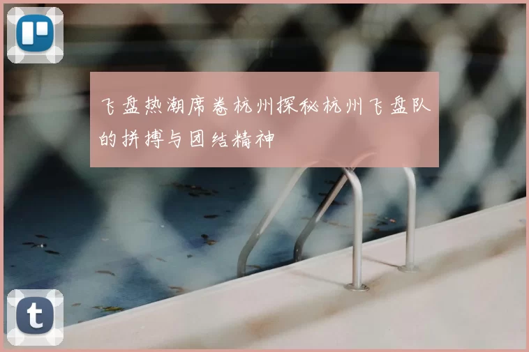飞盘热潮席卷杭州探秘杭州飞盘队的拼搏与团结精神