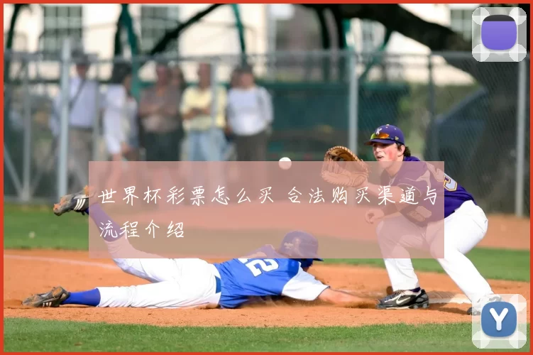 世界杯彩票怎么买 合法购买渠道与流程介绍