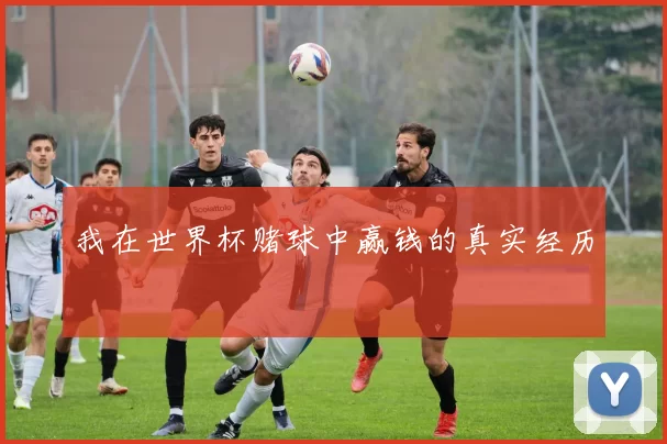 我在世界杯赌球中赢钱的真实经历