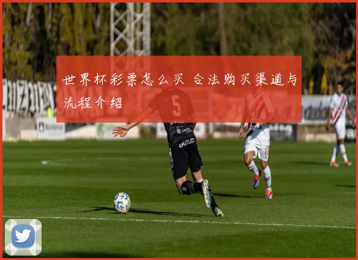 世界杯彩票怎么买 合法购买渠道与流程介绍