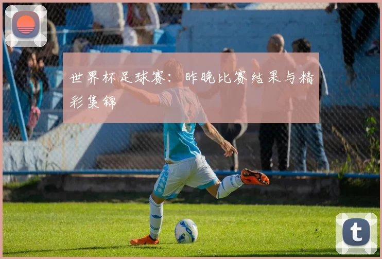 世界杯足球赛：昨晚比赛结果与精彩集锦